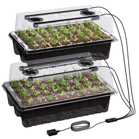 Patigrow 80-cell seed tray with dome for steady moisture and warm germination