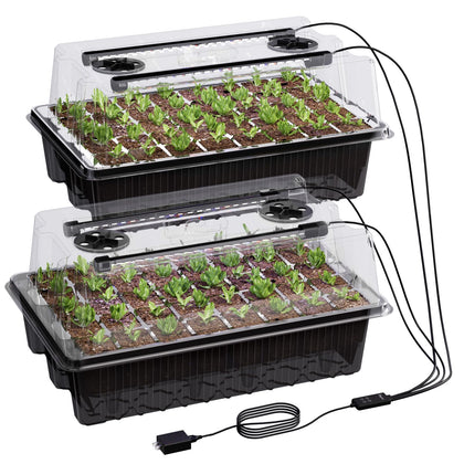 Patigrow 80-cell seed tray with dome for steady moisture and warm germination