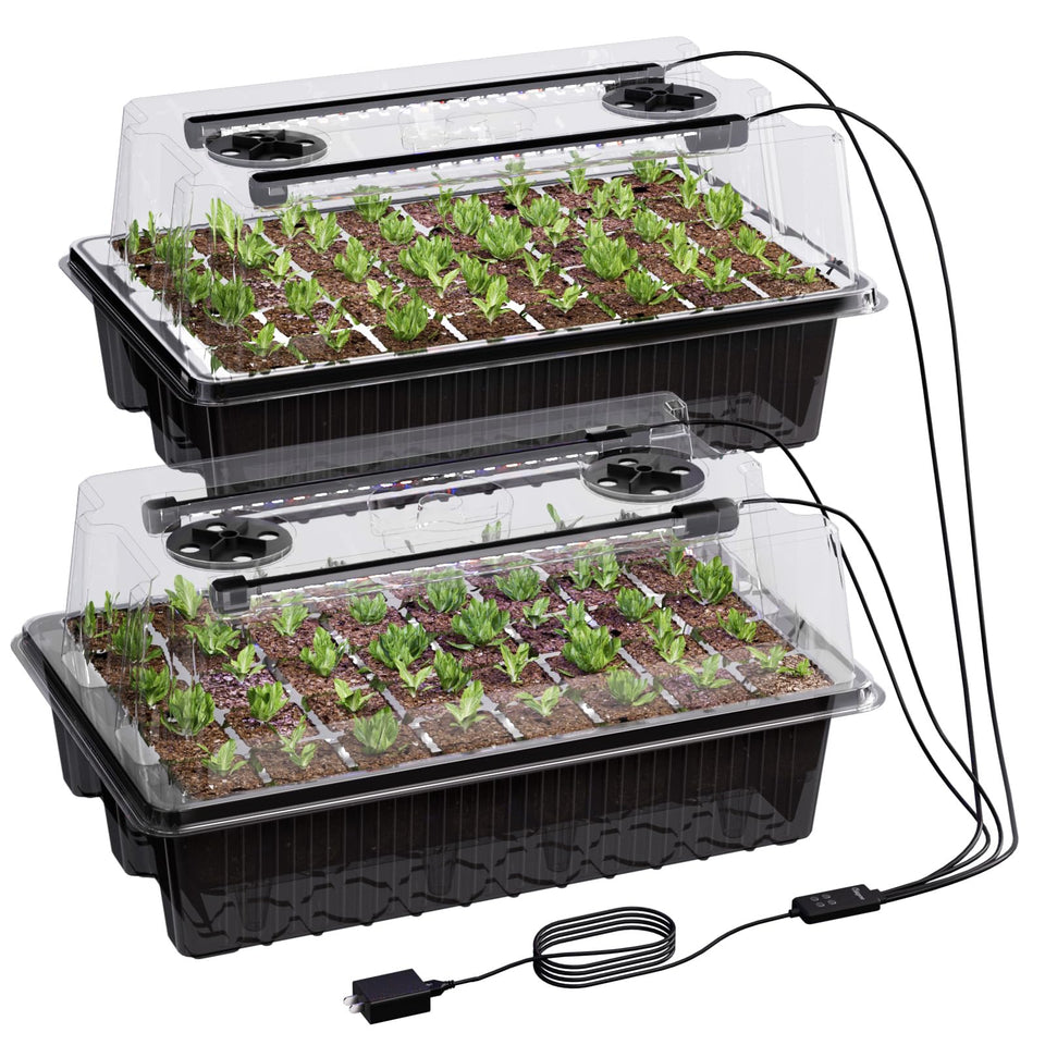 Patigrow 80-cell seed tray with dome for steady moisture and warm germination