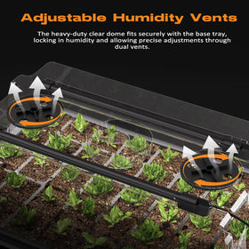 Patigrow capillary mats and plant stands promote even moisture and upright growth