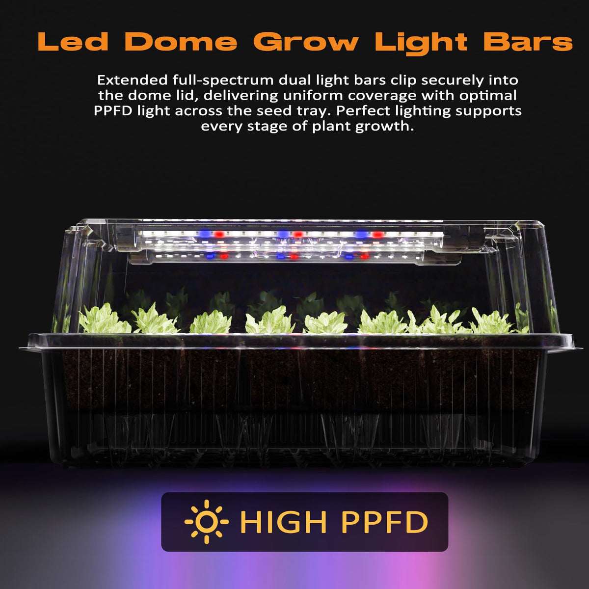 Patigrow grow-light LED strips provide balanced sunlight-like illumination for vigorous seedlings