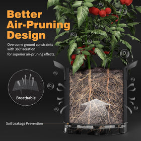 Patigrow metal rings training support branches for low-stress training.