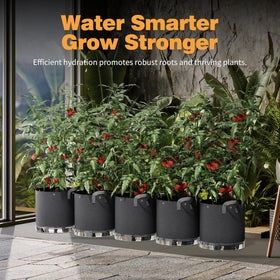 Patigrow root-aeration-base enhances root airflow and natural pruning.