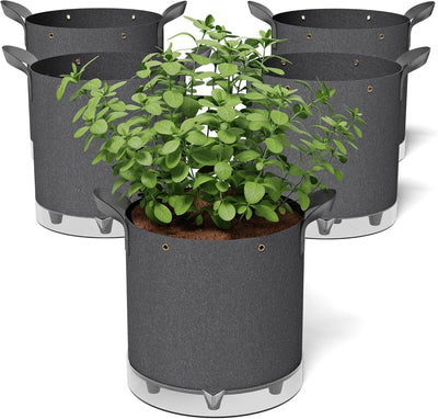 Patigrow self-watering bags with reservoir provide water efficiency for thriving vegetables.