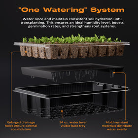 Patigrow self-watering system maintains even moisture without constant checking