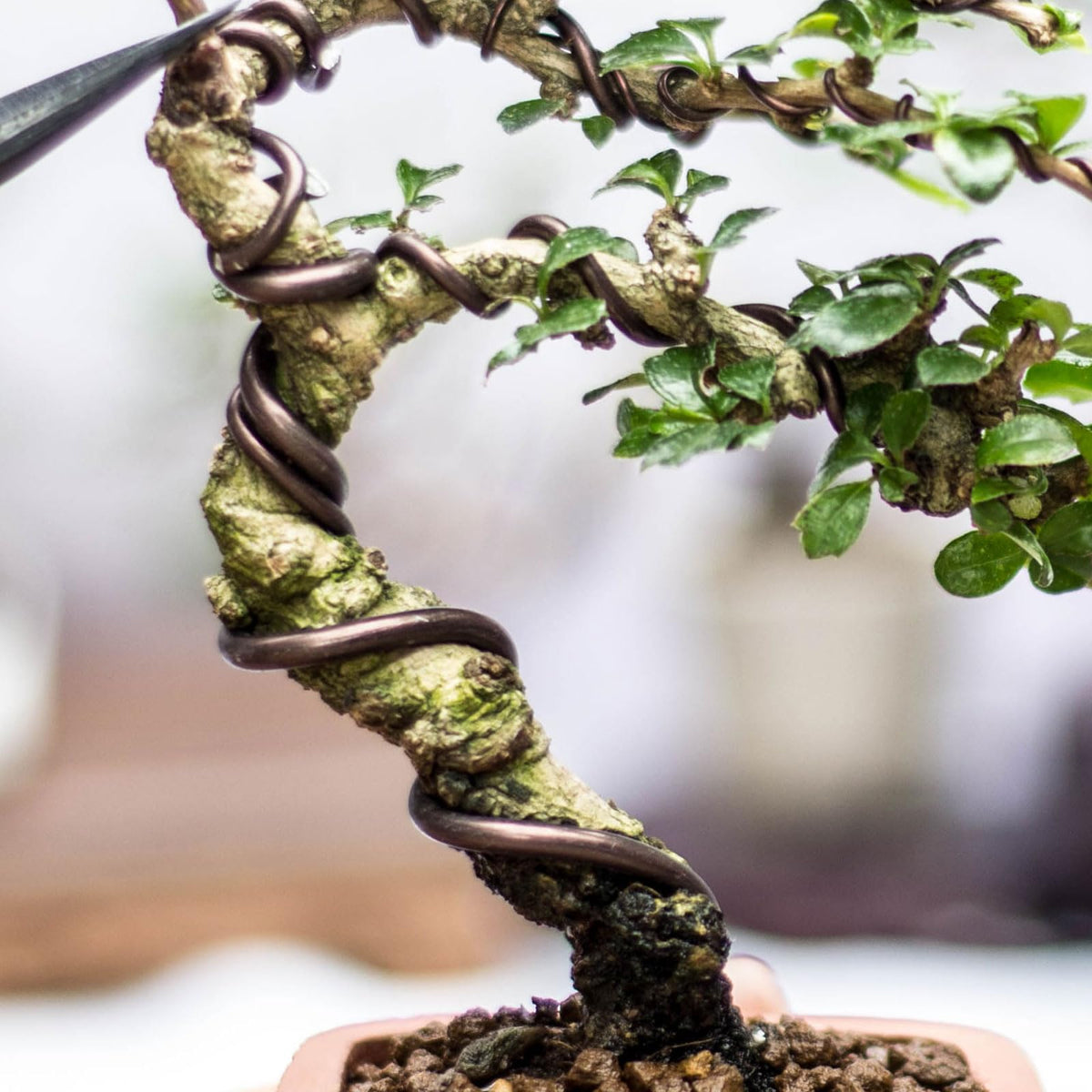 PATIKIL indoor garden wire helps fix branches and stems with ease.