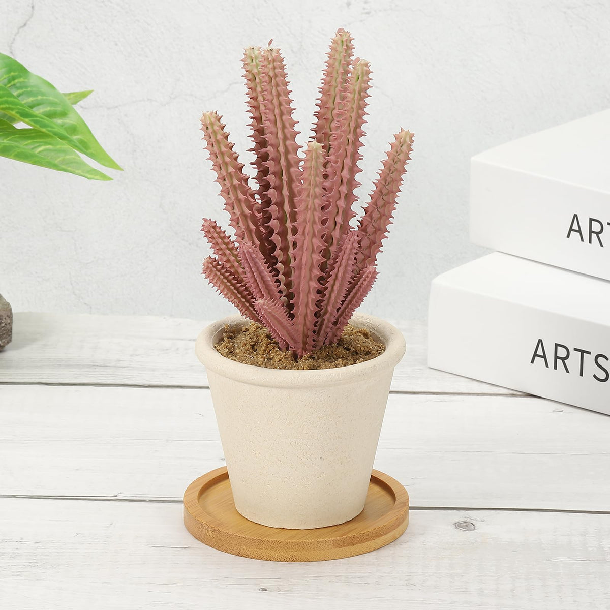 PATIKIL home office decor using natural wooden saucer.