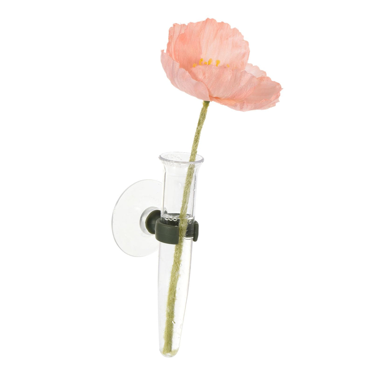 PATIKIL wall-hanging tubes ideal for roses and decorative bouquets.
