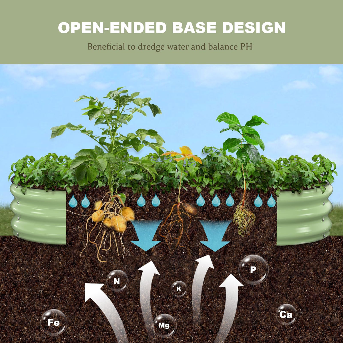 Patiobay open base design enhances drainage and nutrient access for roots