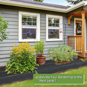 Pattiumo green line guides help align plants in straight rows.