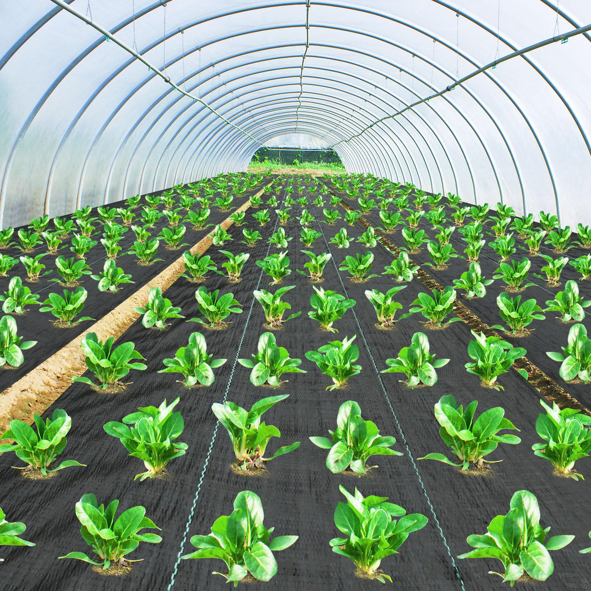 Pattiumo multipurpose fabric supports gardens, driveways, and landscape projects.