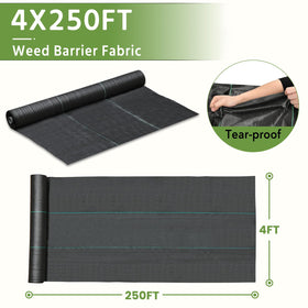 Pattiumo weed barrier opaque to light reduces weed growth under sunny conditions.