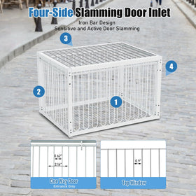 PAUQRWIE foldable bird cage trap for portable setup