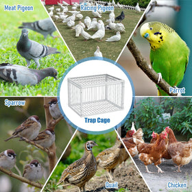 PAUQRWIE pigeon coop use-case image shows controlled, humane catching