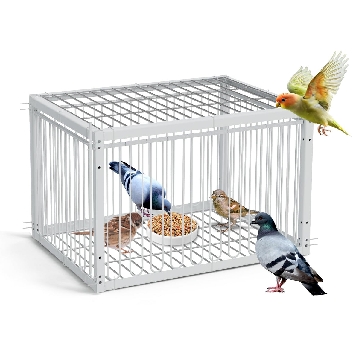 PAUQRWIE pigeon trap front view with escape-proof one-way design