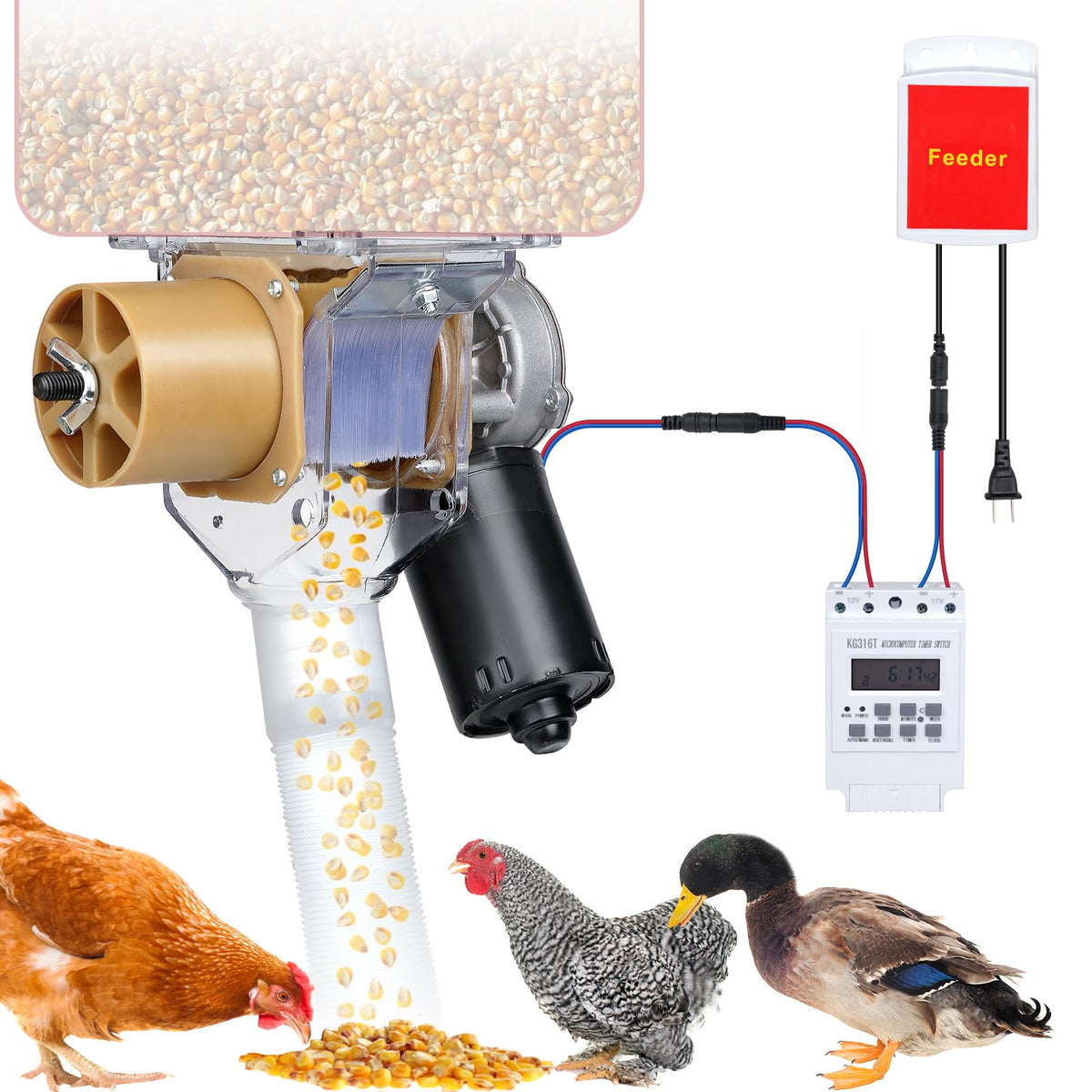 PAUQRWIE timed feeder setup demonstrates easy installation and scheduling