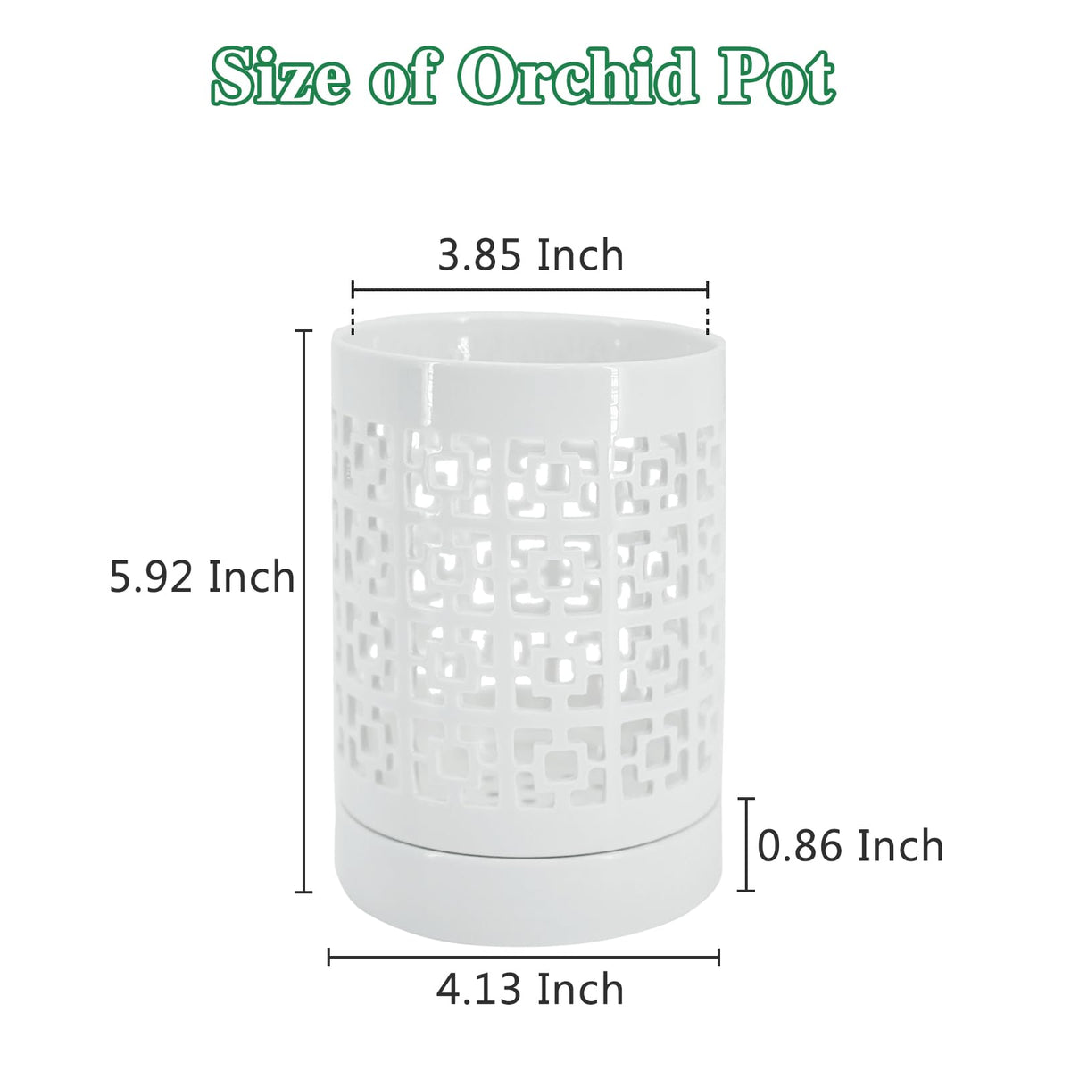 Pavtner breathable orchid pot with multiple holes improves root aeration