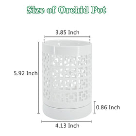 Pavtner breathable orchid pot with multiple holes improves root aeration