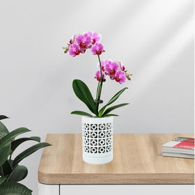 Pavtner indoor outdoor orchid pot in white complements any space