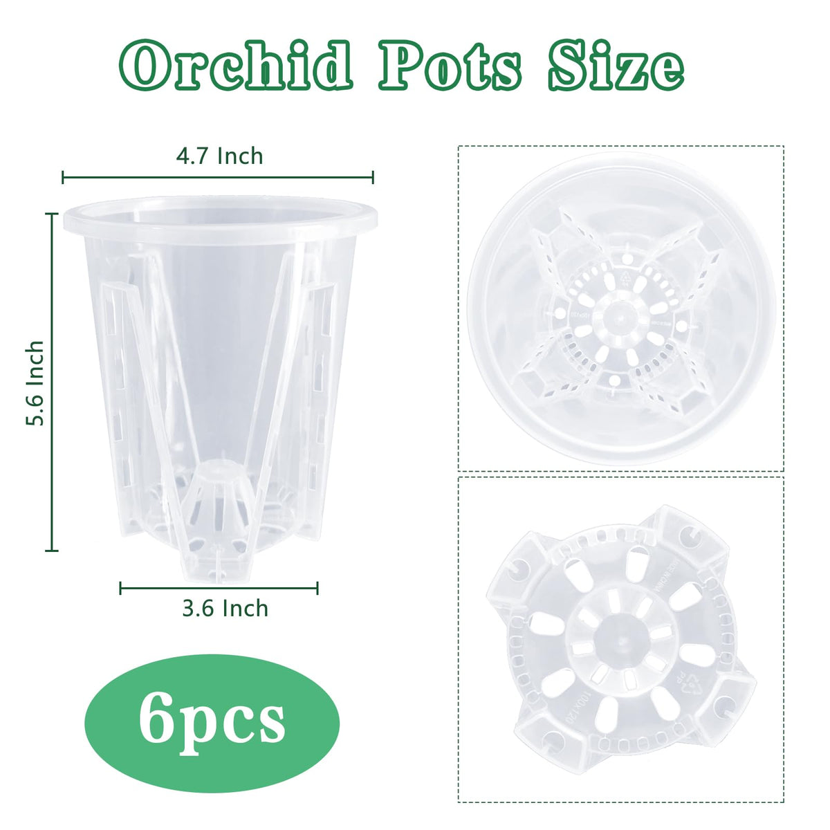 Pavtner orchid pot holes ensure drainage and airflow around roots