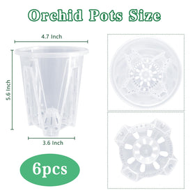 Pavtner orchid pot holes ensure drainage and airflow around roots