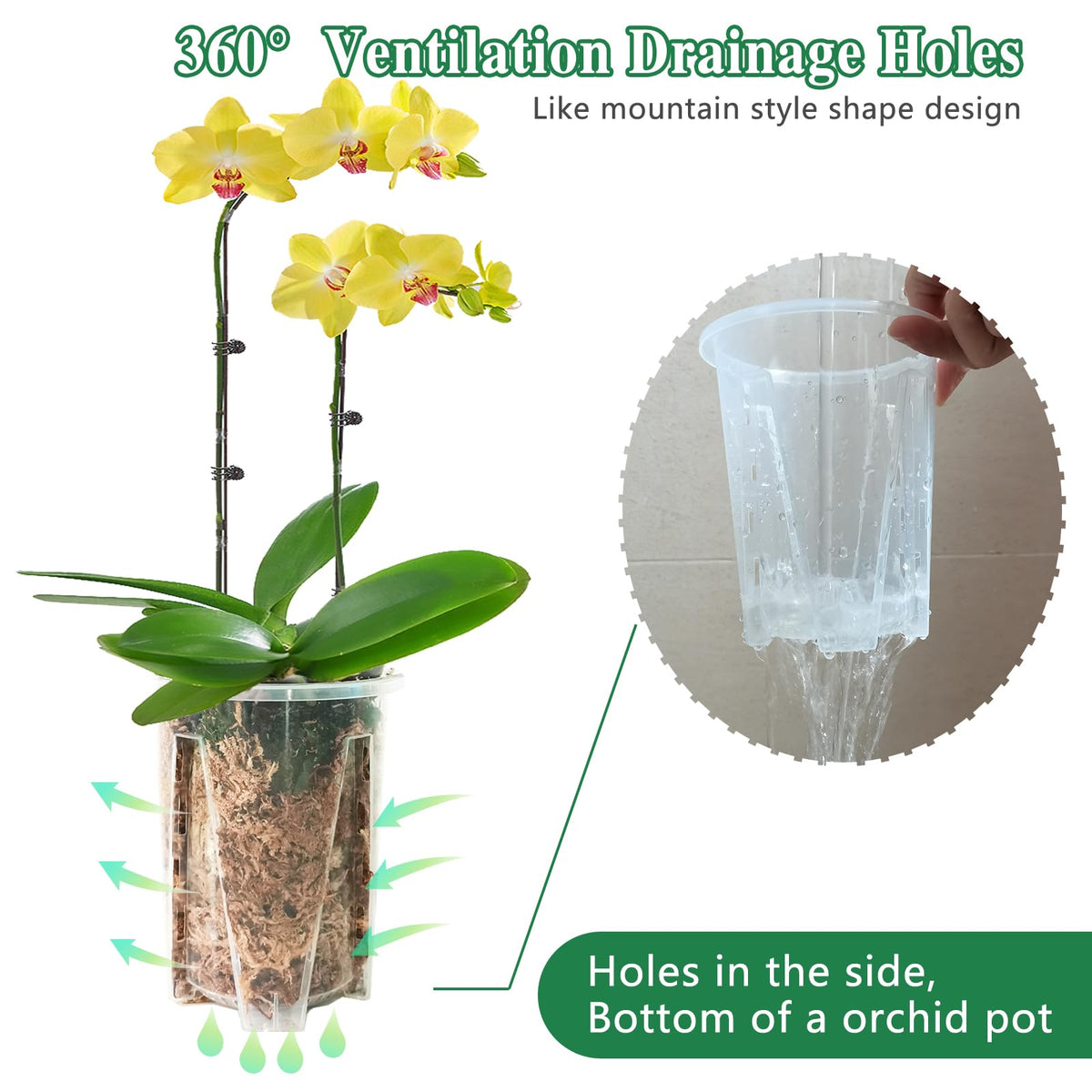 Pavtner modern minimalist design fits indoor or outdoor orchid displays