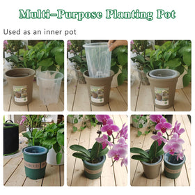 Pavtner six-pack pots ideal for home gardens and balconies