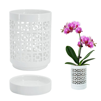 Pavtner orchid pot with holes 4inch promotes air circulation for healthier roots