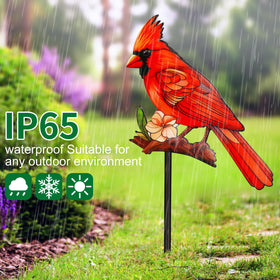 Pawatee cardinal garden stake, ideal gift for bird lovers and gardeners.
