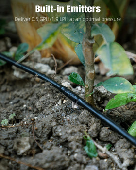 Pawfly 1/4in emitter tubing spaced every 6 inches for consistent moisture.