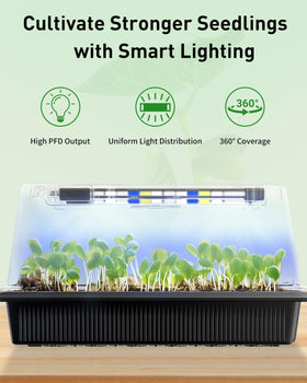 Pawfly seed trays feature thickened PVC walls that resist warping.