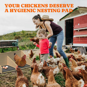 Pawtners nesting pad with protective ridges keeps eggs safe from cracks.