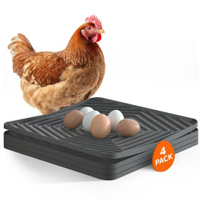Pawtners nesting pads inside the coop offer gentle egg support for reduced cracking.