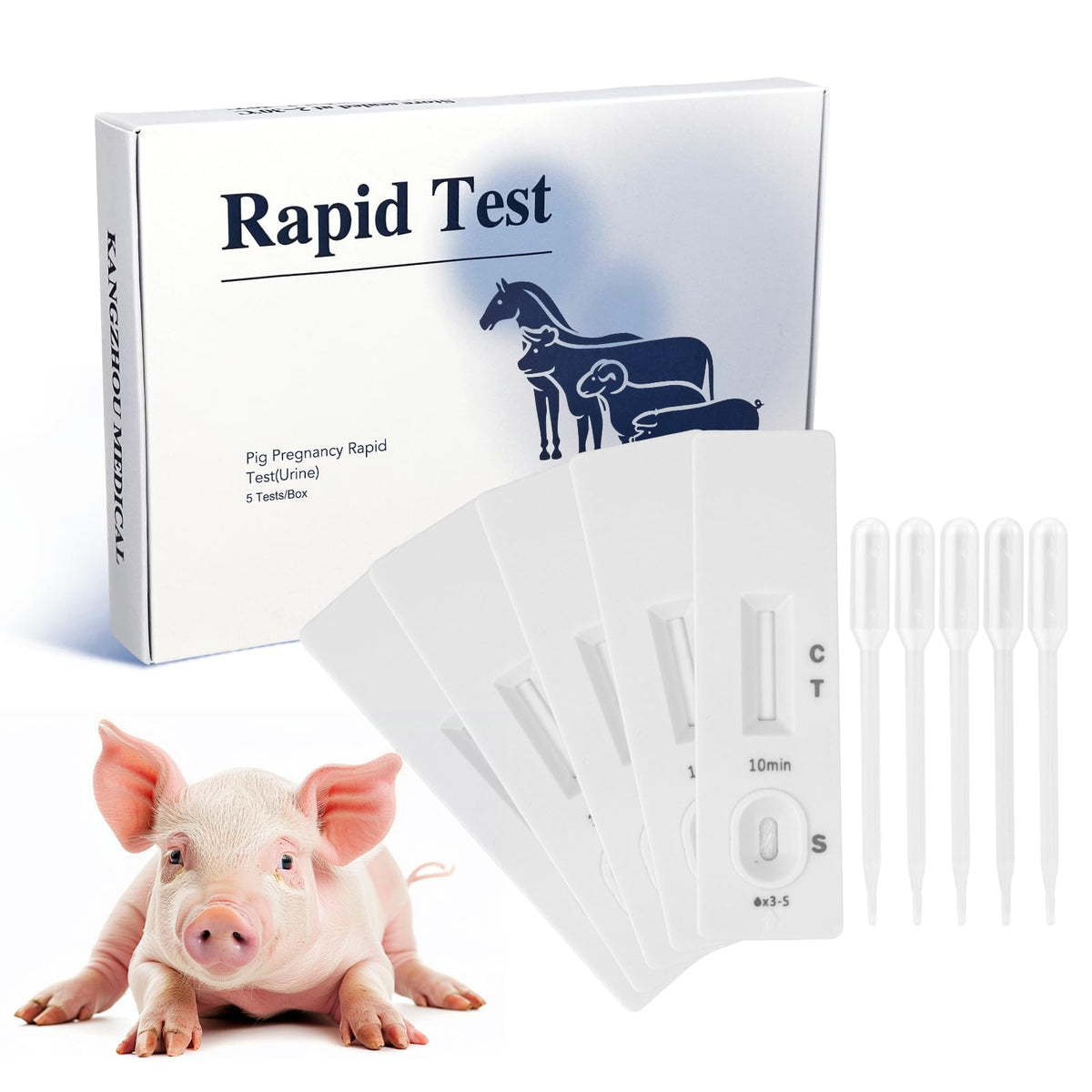 PawsXfun pig pregnancy test strip front packaging for farm use.