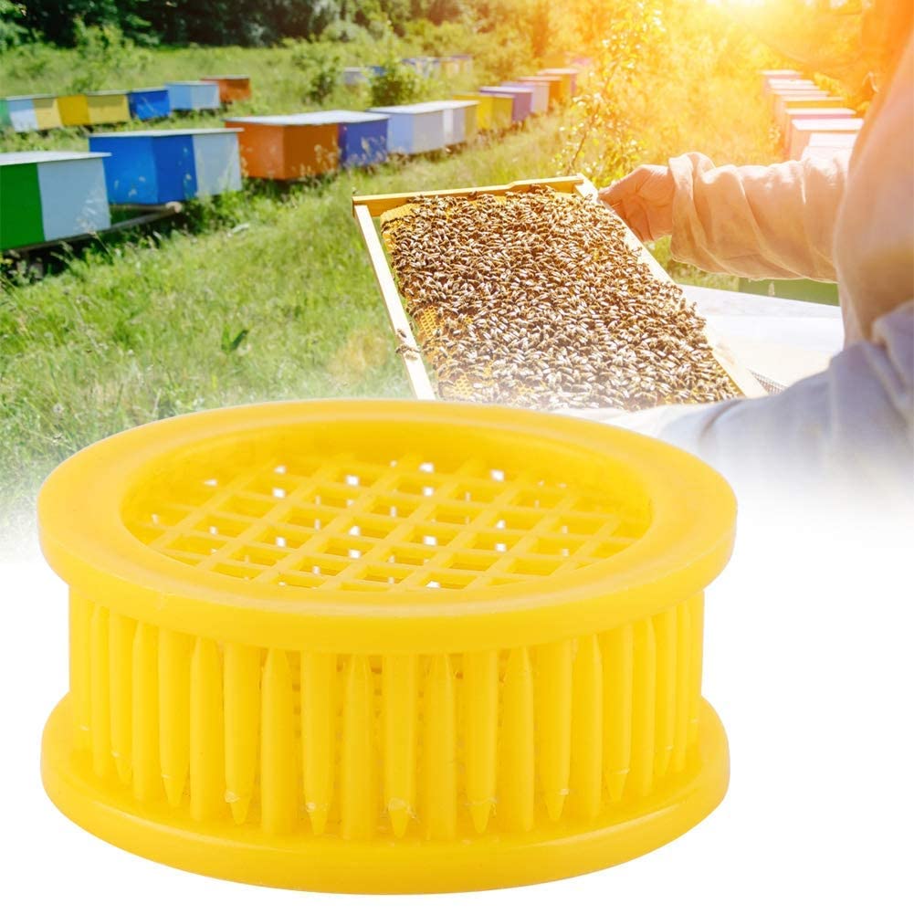 PayPie queen cages demonstrate durable design in rugged beekeeping environment.