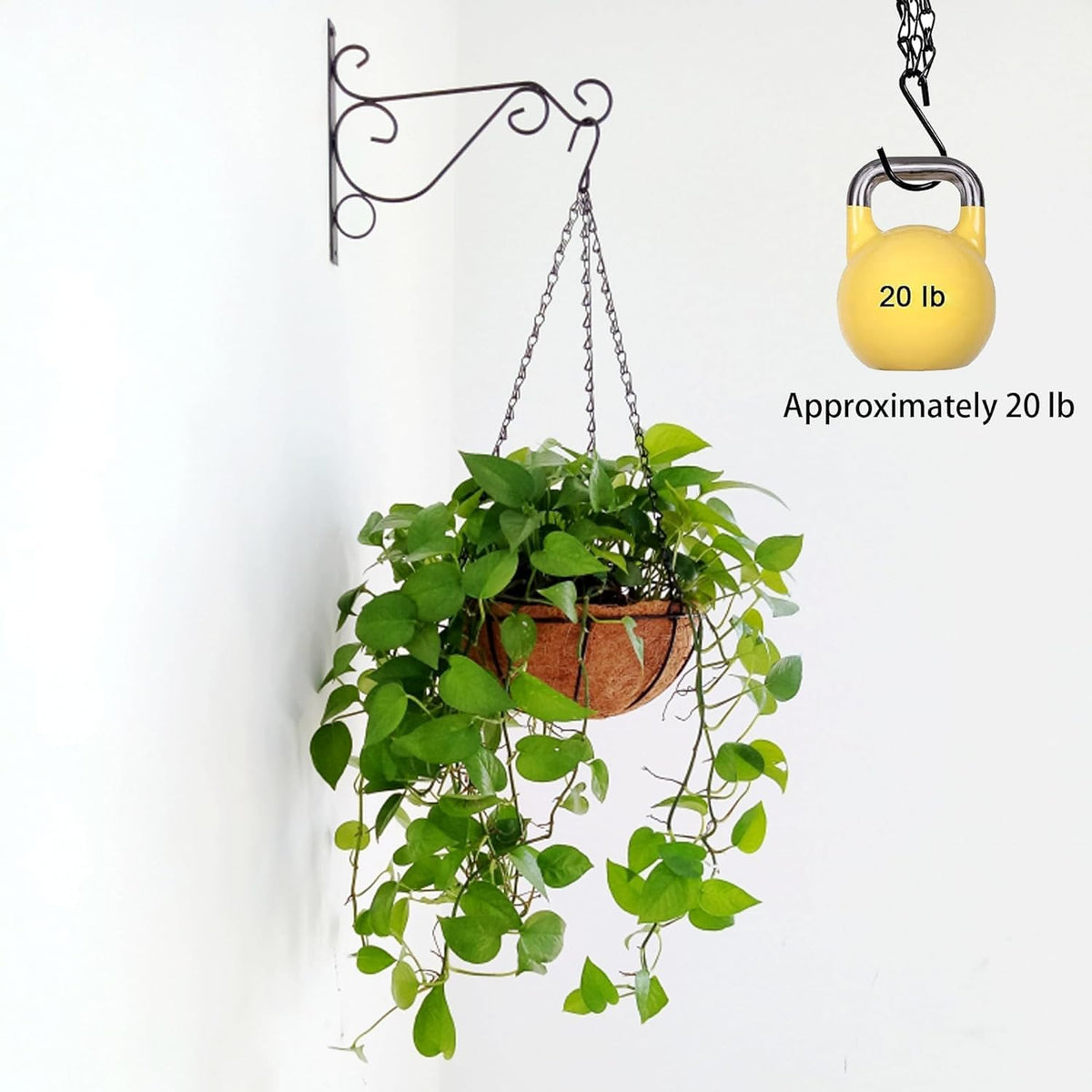 PCTC black decorative garden chain complements any planter style.