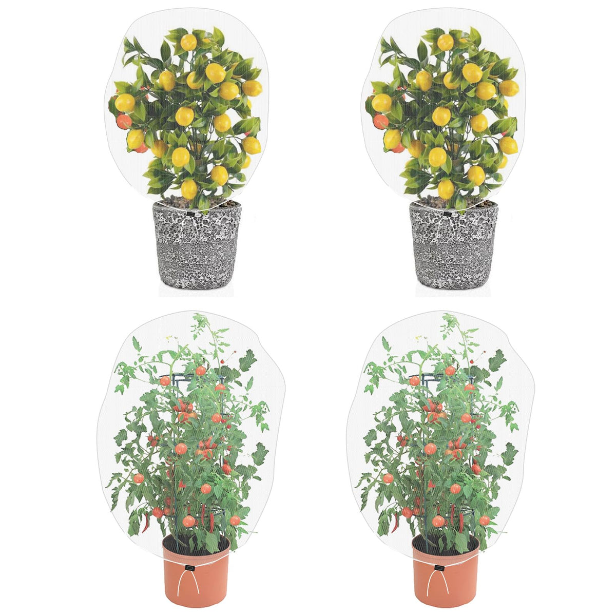PDGROW garden mesh netting protecting plants from pests with full coverage.