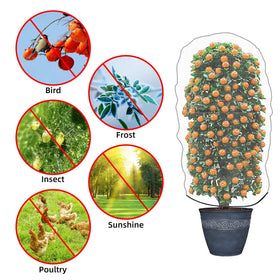 PDGROW cover protects fruit trees and vegetables from pests.