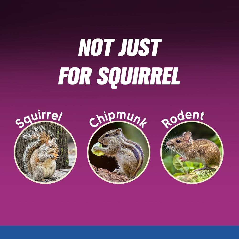PDKIVFI Squirrel Repellent Ball in attic reduces gnawing and nesting behavior.