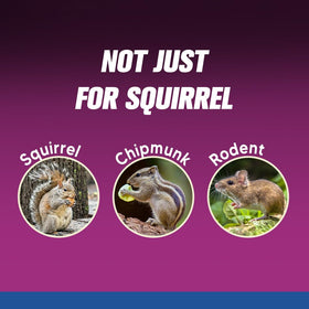 PDKIVFI Squirrel Repellent Ball in attic reduces gnawing and nesting behavior.