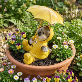 pechpell chick planter accessory brightens garden beds and patio corners