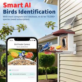 PeckCam Bird Feeder with Camera 2K live view of visiting birds