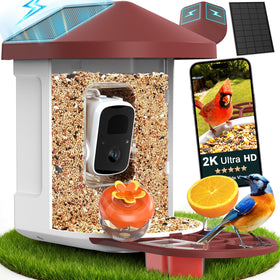 PeckCam Bird Feeder with Camera front view — AI species ID for quick birding insights