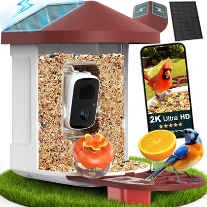 PeckCam Bird Feeder with Camera front view — AI species ID for quick birding insights