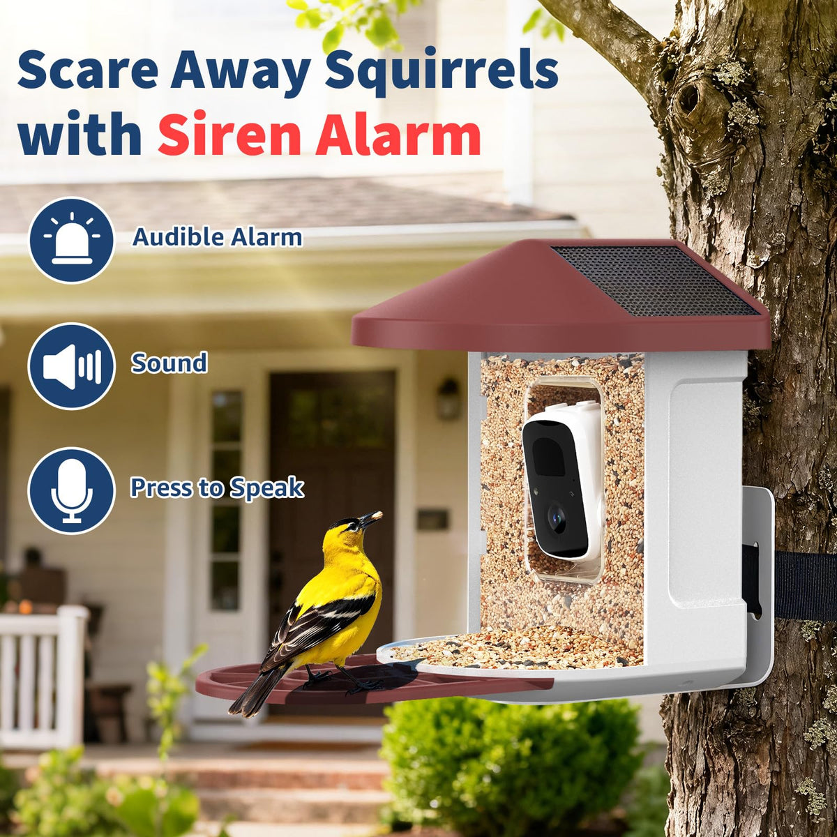 PeckCam multi-user sharing lets family watch birds from four phones