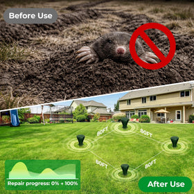 Peepst IP65 housing resists rain, dust, and snow for outdoor use.