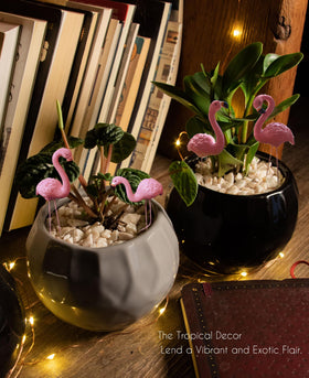 PEGZOS 4 pack makes a thoughtful garden gift for her