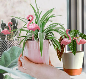 PEGZOS mini flamingo figurines with stakes brightening soil
