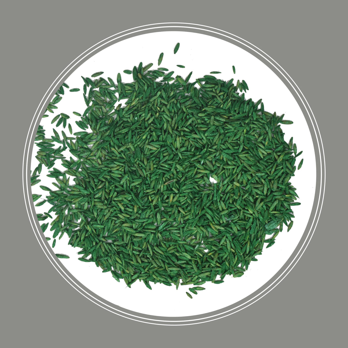 Pennington Contractors Grass Seed Mix Central 20 lb formulated for Central US climate