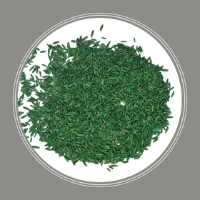 Pennington Contractors Grass Seed Mix Central 20 lb formulated for Central US climate